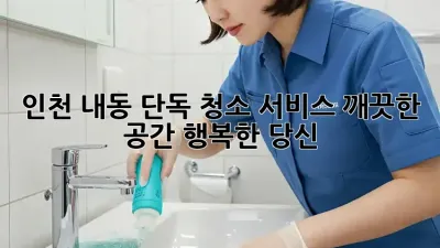 인천 내동 단독 청소 서비스: 깨끗한 공간, 행복한 당신