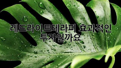 레드라이트테라피, 효과적인 투자일까요?